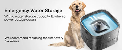 9L Large Dog Water Fountain